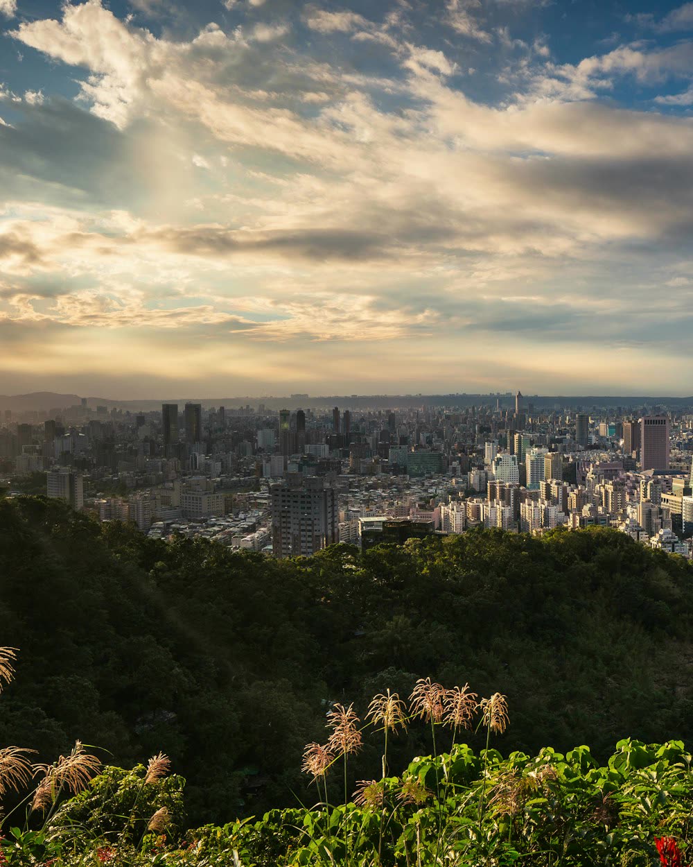 Taiwan